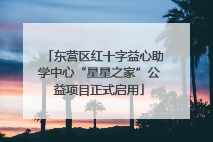 东营区红十字益心助学中心“星星之家”公益项目正式启用