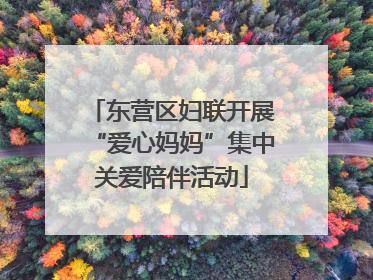 东营区妇联开展“爱心妈妈”集中关爱陪伴活动