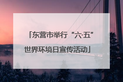 东营市举行“六·五”世界环境日宣传活动