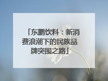 东鹏饮料：新消费浪潮下的民族品牌突围之路