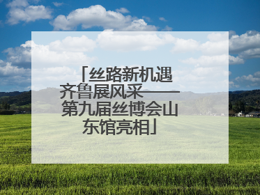 丝路新机遇 齐鲁展风采——第九届丝博会山东馆亮相