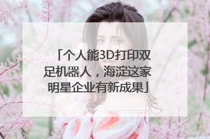 个人能3D打印双足机器人，海淀这家明星企业有新成果