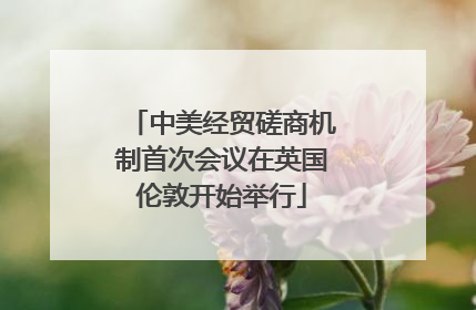 中美经贸磋商机制首次会议在英国伦敦开始举行