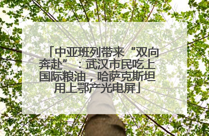 中亚班列带来“双向奔赴”：武汉市民吃上国际粮油，哈萨克斯坦用上鄂产光电屏