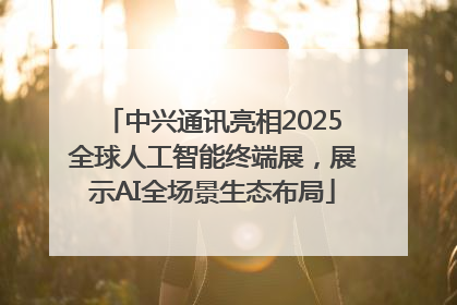 中兴通讯亮相2025全球人工智能终端展，展示AI全场景生态布局