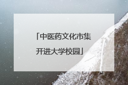 中医药文化市集开进大学校园