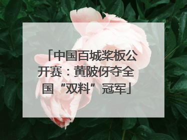 中国百城桨板公开赛：黄陂伢夺全国“双料”冠军
