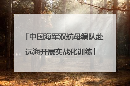 中国海军双航母编队赴远海开展实战化训练
