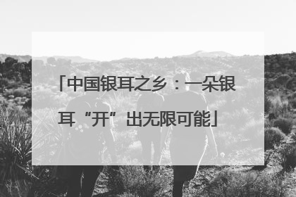 中国银耳之乡：一朵银耳“开”出无限可能