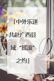 中外乐迷共赴广西县域“摇滚”之约