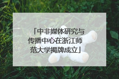 中非媒体研究与传播中心在浙江师范大学揭牌成立