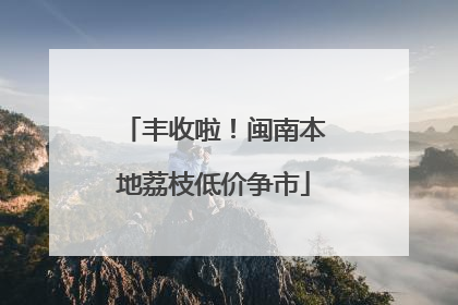 丰收啦！闽南本地荔枝低价争市