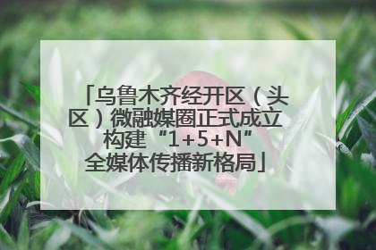 乌鲁木齐经开区（头区）微融媒圈正式成立 构建“1+5+N”全媒体传播新格局