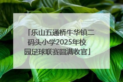 乐山五通桥牛华镇二码头小学2025年校园足球联赛圆满收官