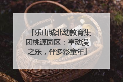 乐山城北幼教育集团桃源园区：享动漫之乐，伴多彩童年