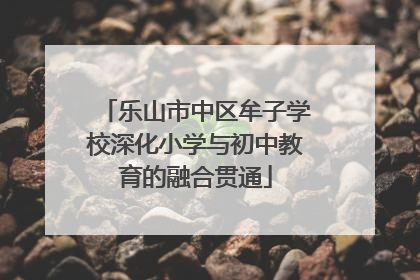 乐山市中区牟子学校深化小学与初中教育的融合贯通