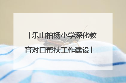 乐山柏杨小学深化教育对口帮扶工作建设