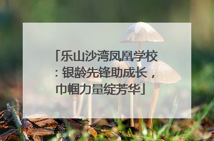 乐山沙湾凤凰学校：银龄先锋助成长，巾帼力量绽芳华