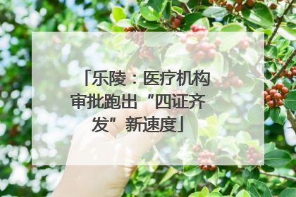 乐陵：医疗机构审批跑出“四证齐发”新速度
