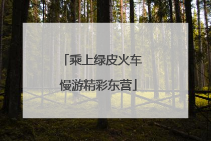 乘上绿皮火车 慢游精彩东营