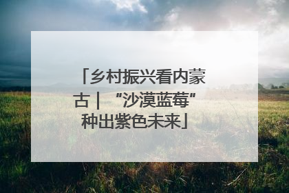 乡村振兴看内蒙古｜“沙漠蓝莓”种出紫色未来