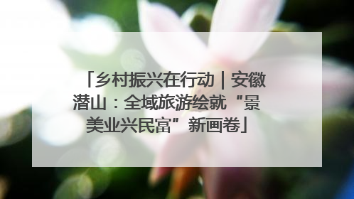 乡村振兴在行动｜安徽潜山：全域旅游绘就“景美业兴民富”新画卷
