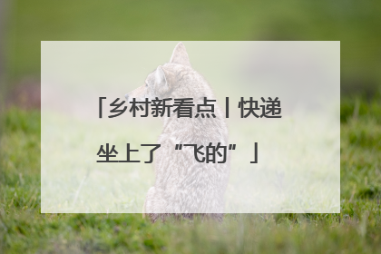 乡村新看点丨快递坐上了“飞的”