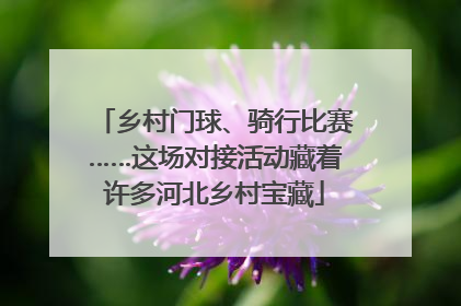 乡村门球、骑行比赛……这场对接活动藏着许多河北乡村宝藏