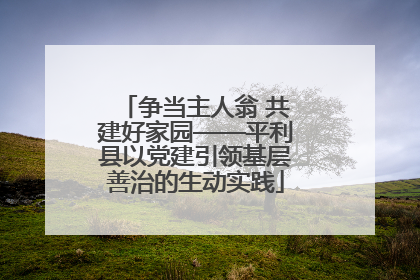 争当主人翁 共建好家园——平利县以党建引领基层善治的生动实践