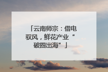 云南师宗：借电驭风，鲜花产业“破圈出海”
