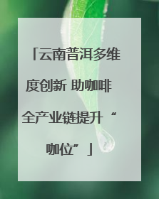 云南普洱多维度创新 助咖啡全产业链提升“咖位”