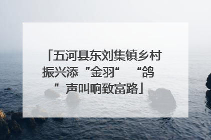 五河县东刘集镇乡村振兴添“金羽” “鸽”声叫响致富路