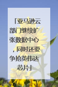 亚马逊云部门继续扩张数据中心，同时还要争抢英伟达芯片