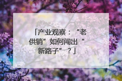 产业观察：“老供销”如何闯出“新路子”？