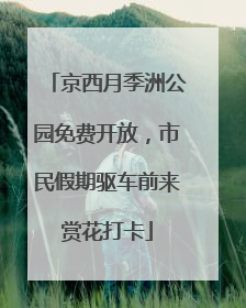 京西月季洲公园免费开放，市民假期驱车前来赏花打卡