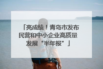 亮成绩！青岛市发布民营和中小企业高质量发展“半年报”