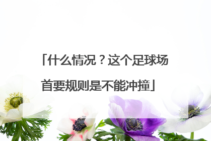 什么情况？这个足球场首要规则是不能冲撞