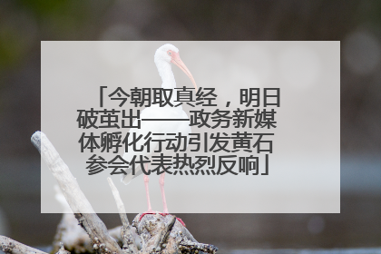 今朝取真经,明日破茧出——政务新媒体孵化行动引发黄石参会代表热烈反响