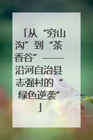 从“穷山沟”到“茶香谷”——沿河自治县志强村的“绿色逆袭”