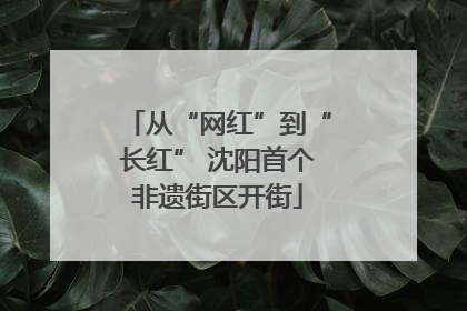 从“网红”到“长红” 沈阳首个非遗街区开街