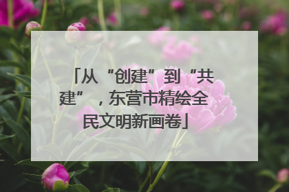 从“创建”到“共建”，东营市精绘全民文明新画卷