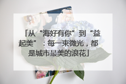 从“海好有你”到“益起美”：每一束微光，都是城市最美的浪花