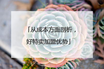 从成本方面剖析，好特卖加盟优势