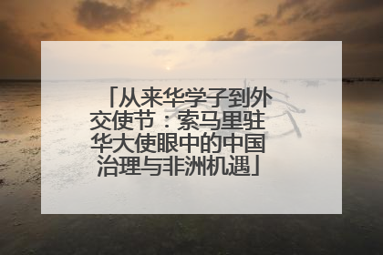 从来华学子到外交使节：索马里驻华大使眼中的中国治理与非洲机遇