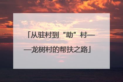 从驻村到“助”村——龙树村的帮扶之路