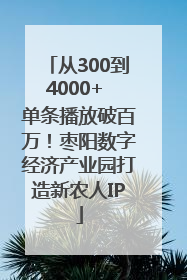 从300到4000+ 单条播放破百万！枣阳数字经济产业园打造新农人IP