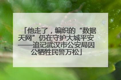 他走了，编织的“数据天网”仍在守护大城平安——追记武汉市公安局因公牺牲民警万松
