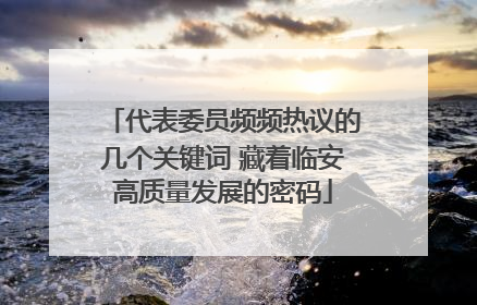 代表委员频频热议的几个关键词 藏着临安高质量发展的密码