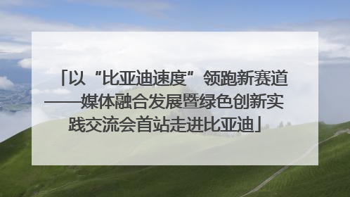 以“比亚迪速度”领跑新赛道——媒体融合发展暨绿色创新实践交流会首站走进比亚迪