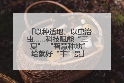 以种适地、以虫治虫……科技赋能“三夏” “智慧种地”绘就好“丰”景